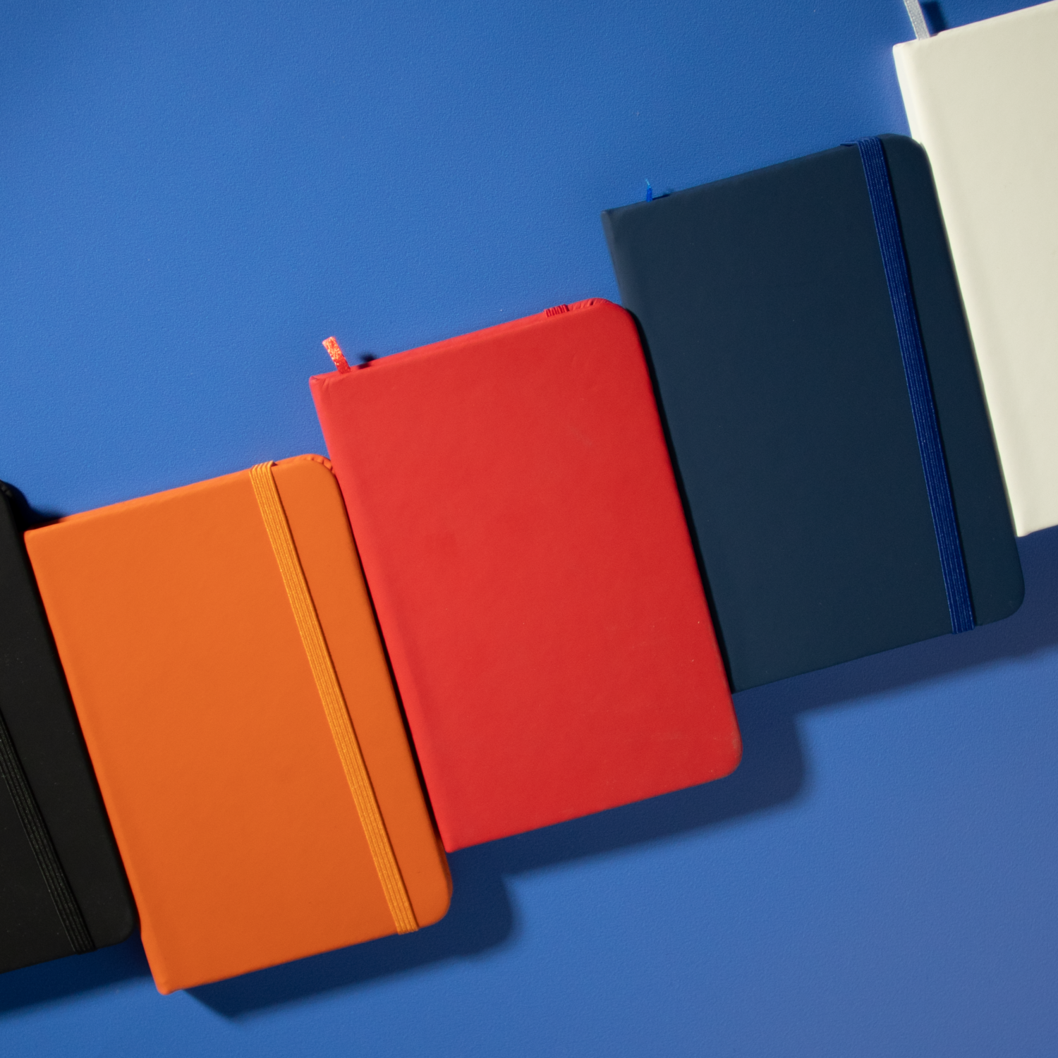 IMG_6934-e1774414031113